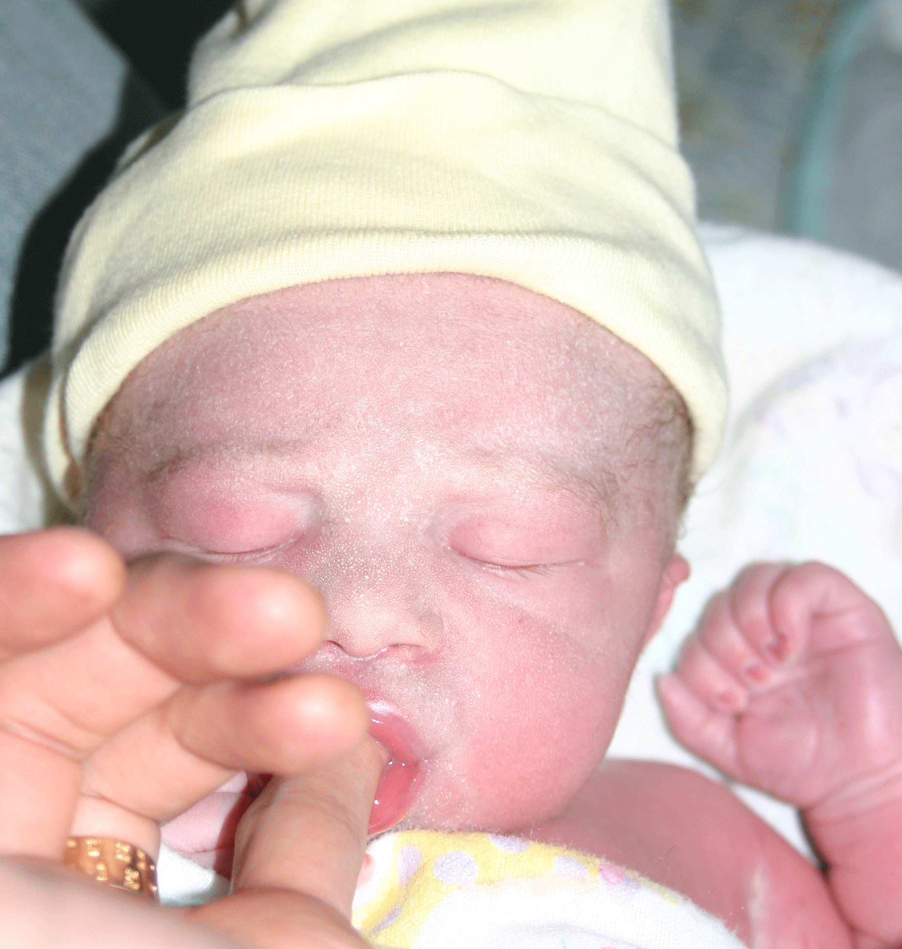 Elijah
